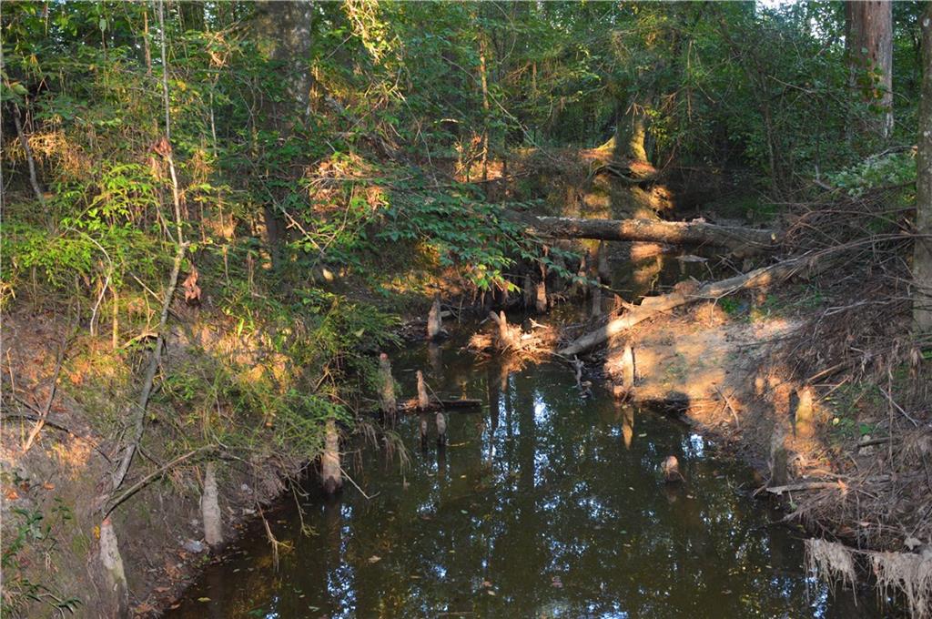 0 Searcy Eden Road Trout, LA 71371 - Photo 19 of 25 Gallery Image 19