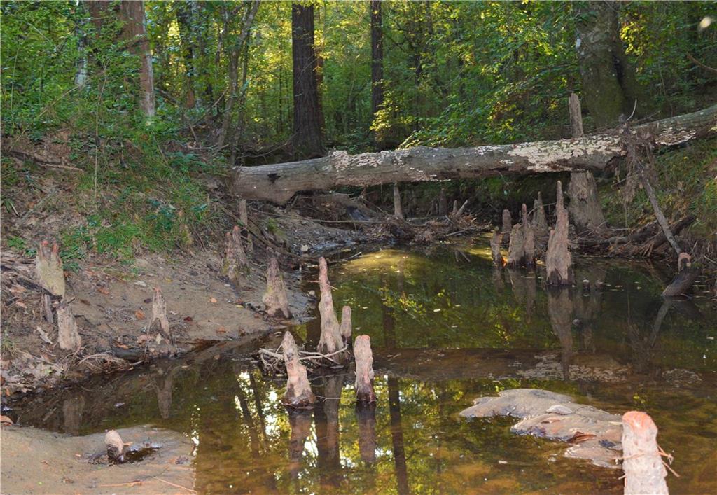 0 Searcy Eden Road Trout, LA 71371 - Photo 20 of 25 Gallery Image 20