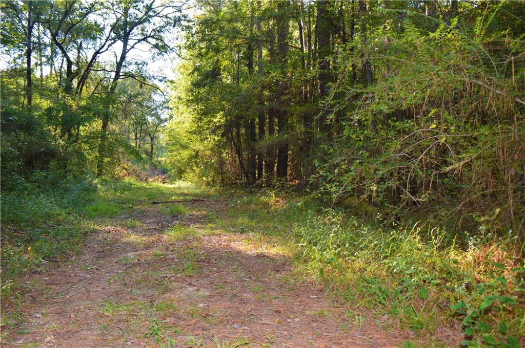 0 Searcy Eden Road Trout, LA 71371 - Photo 2 of 25 Gallery Image 2