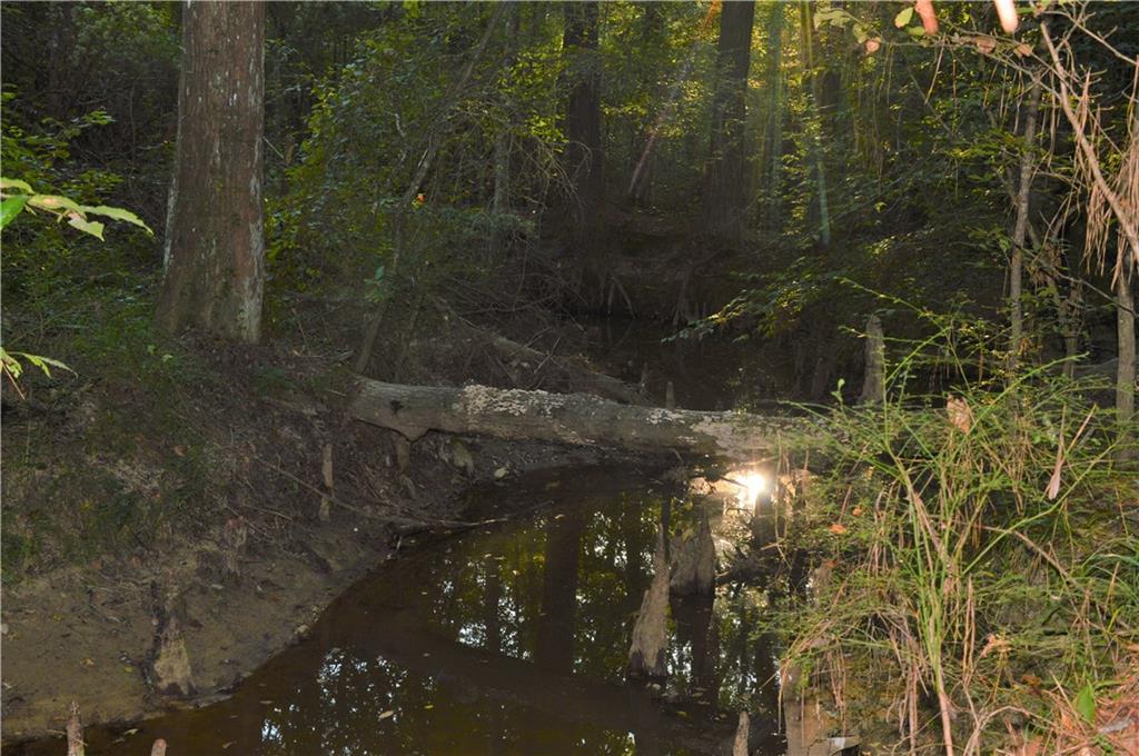 0 Searcy Eden Road Trout, LA 71371 - Photo 21 of 25 Gallery Image 21