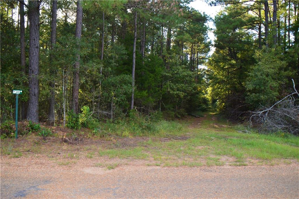 0 Searcy Eden Road Trout, LA 71371 - Photo 3 of 25 Gallery Image 3