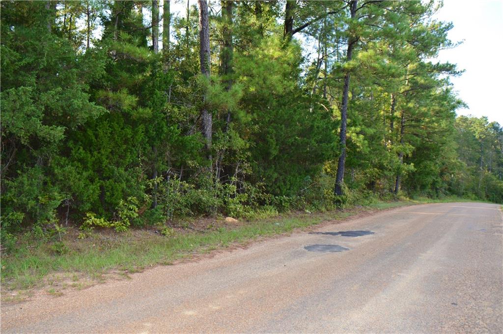 0 Searcy Eden Road Trout, LA 71371 - Photo 4 of 25 Gallery Image 4