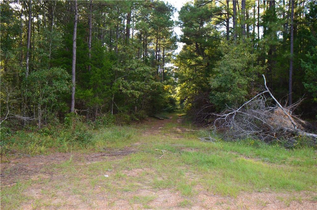 0 Searcy Eden Road Trout, LA 71371 - Photo 6 of 25 Gallery Image 6