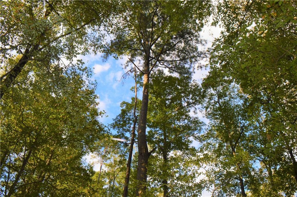 0 Searcy Eden Road Trout, LA 71371 - Photo 7 of 25 Gallery Image 7