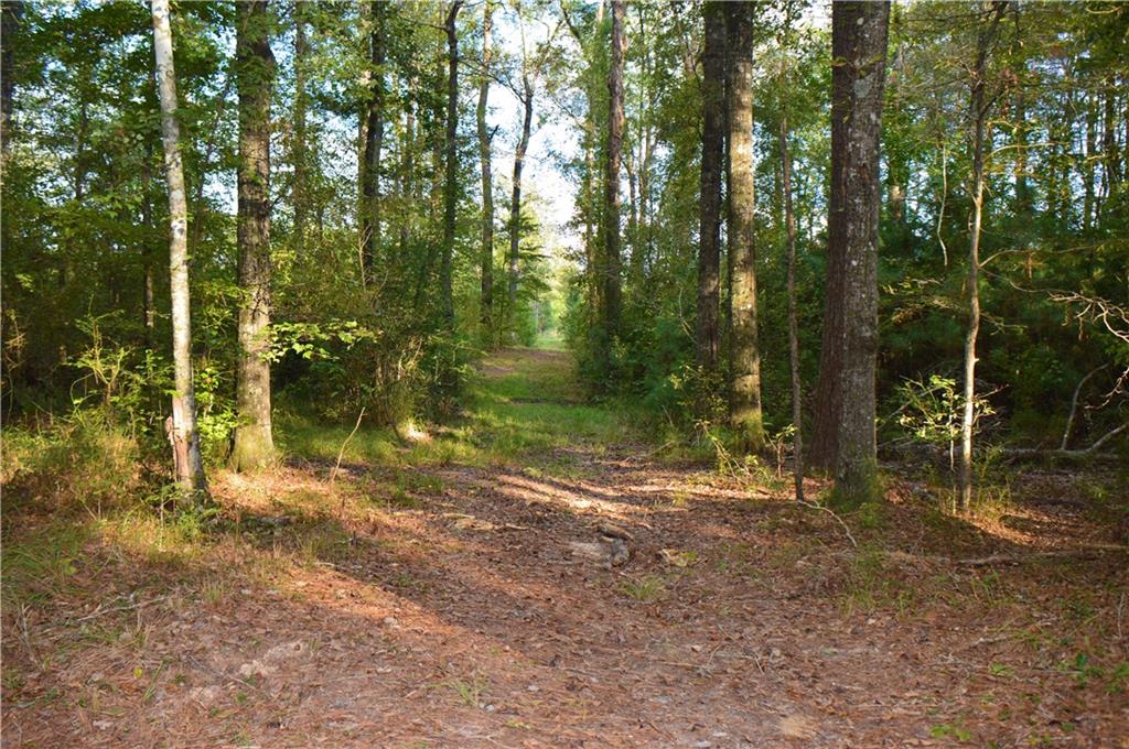 0 Searcy Eden Road Trout, LA 71371 - Photo 9 of 25 Gallery Image 9