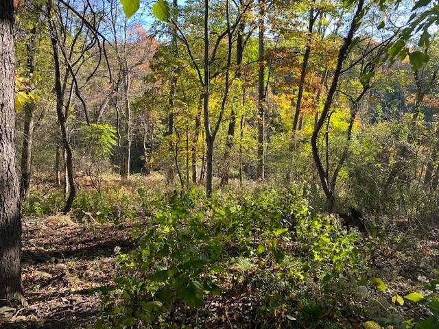 Lot 277 Crest Road Pittsburgh, PA 15237 - Photo 3 of 5 a view of a yard with plants and trees
