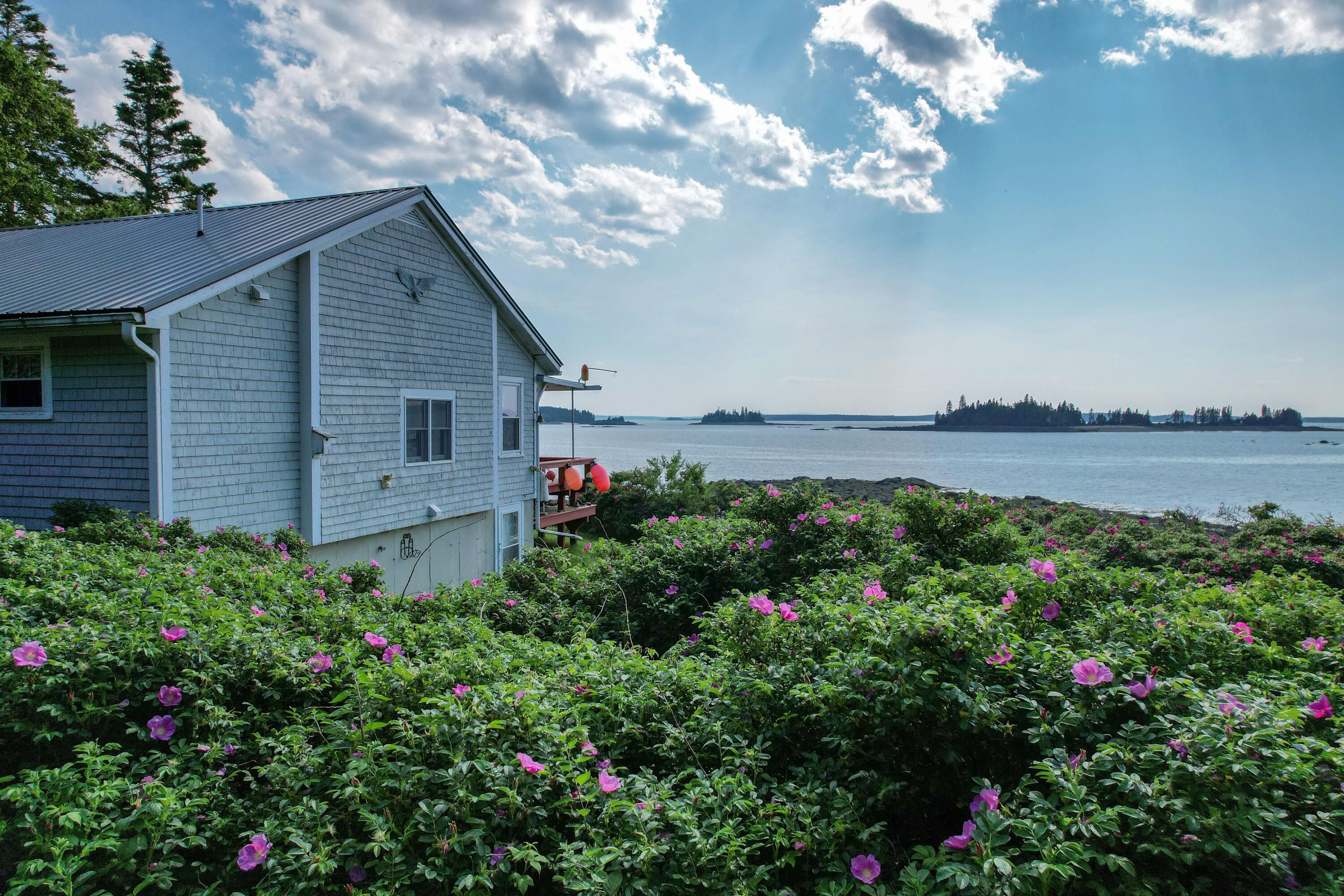 397 Cape Split Road Addison, ME 04606 - Photo 42 of 64