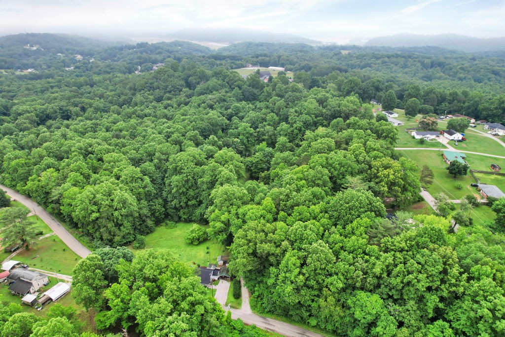 134 Mc Kinney Road Harriman, TN 37748 - Photo 18 of 31