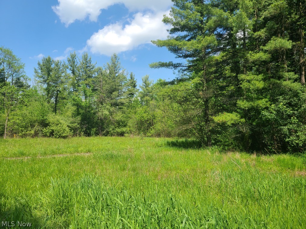 3620 Biltz Road Kent, OH 44240 - Photo 22 of 23