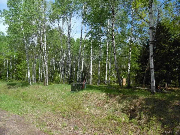 $35,000 | Tbd Michigan Avenue, White Pine, MI 49971