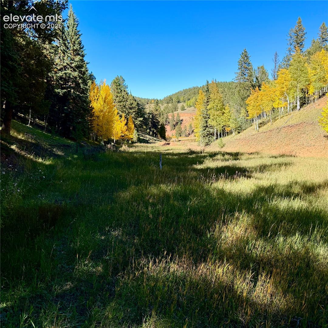 535 Willow Road Divide, CO 80814 - Photo 18 of 20 Gallery Image 18