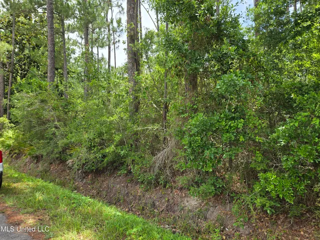 $27,500 | Nhn Helene Drive, Pass Christian, MS 39571