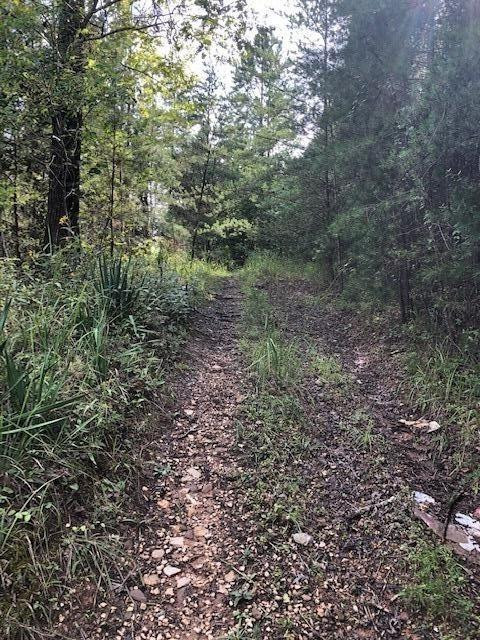 940 Beech Fork Road Clay City, KY 40312 - Photo 4 of 18 Photo 4