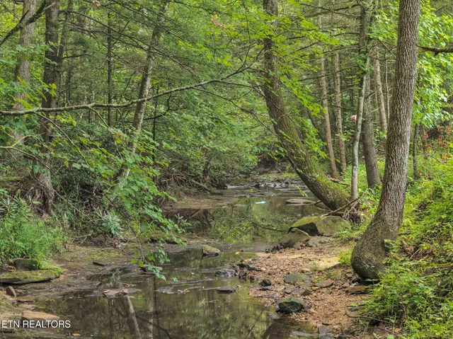 $217,120 | Gatewood Ford Road, Deer Lodge, TN 37726