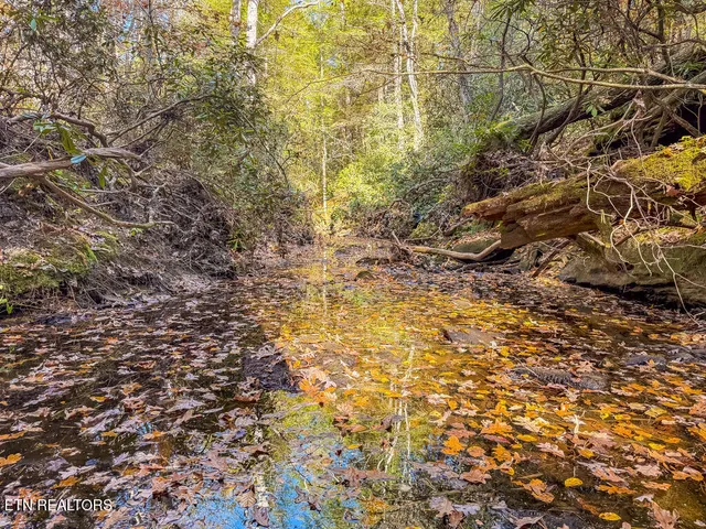 $217,120 | Gatewood Ford Road, Deer Lodge, TN 37726