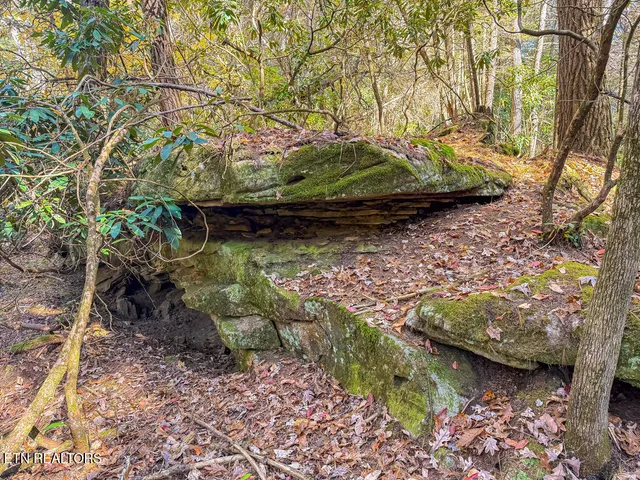 $217,120 | Gatewood Ford Road, Deer Lodge, TN 37726