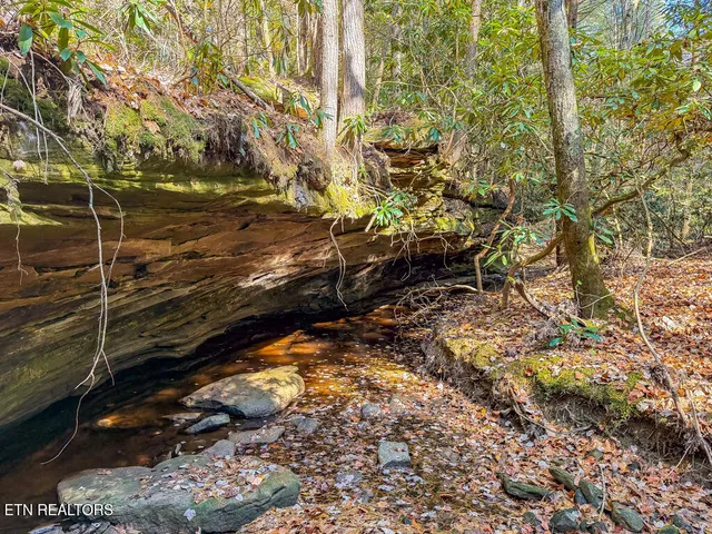 $217,120 | Gatewood Ford Road, Deer Lodge, TN 37726