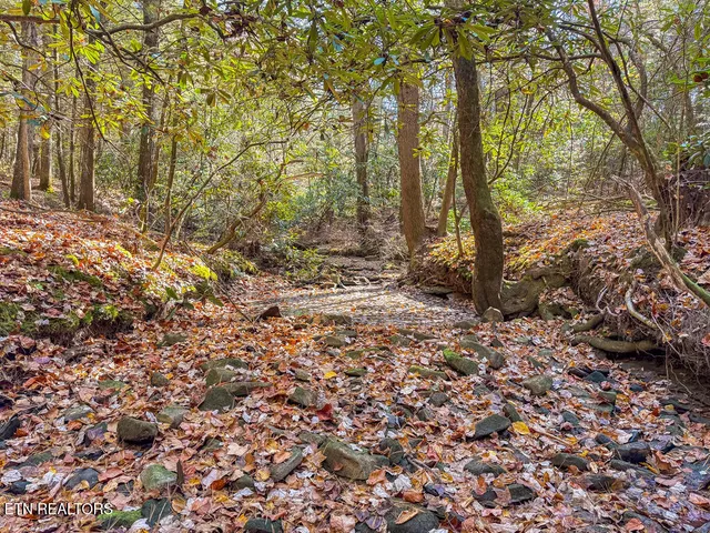 $217,120 | Gatewood Ford Road, Deer Lodge, TN 37726