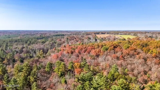 $217,120 | Gatewood Ford Road, Deer Lodge, TN 37726