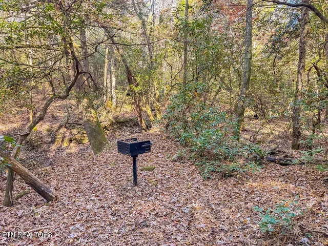 $217,120 | Gatewood Ford Road, Deer Lodge, TN 37726