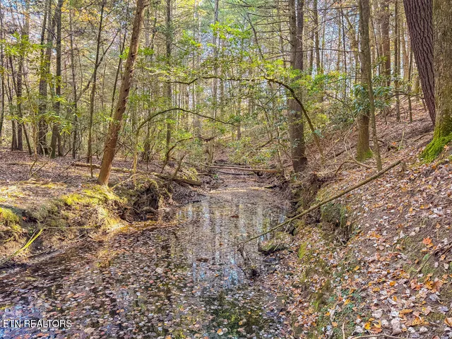 $217,120 | Gatewood Ford Road, Deer Lodge, TN 37726