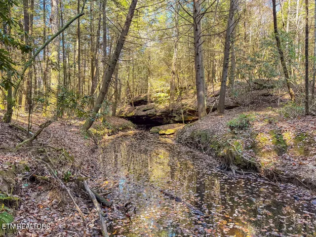 $217,120 | Gatewood Ford Road, Deer Lodge, TN 37726