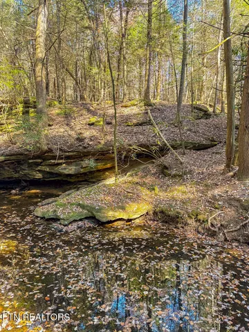 $217,120 | Gatewood Ford Road, Deer Lodge, TN 37726