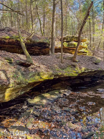 $217,120 | Gatewood Ford Road, Deer Lodge, TN 37726