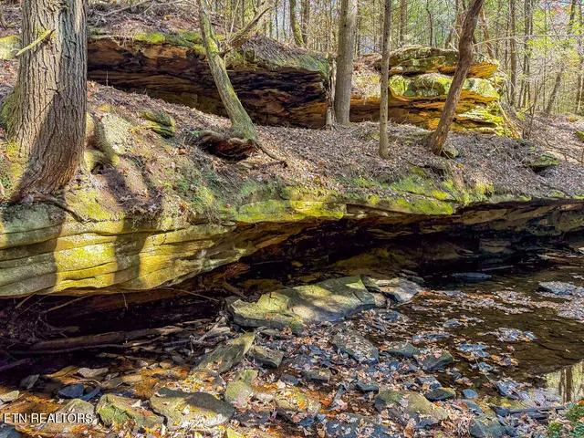 $217,120 | Gatewood Ford Road, Deer Lodge, TN 37726