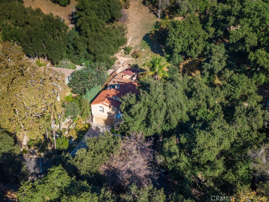 1934 Pasadena Glen Road Pasadena, CA 91107 - Photo 37 of 38 a view of a garden with plants