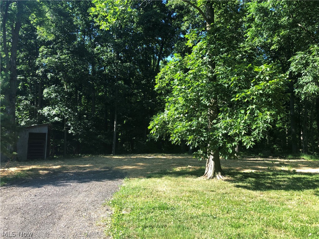 8515 Chippewa Road Lodi, OH 44254 - Photo 17 of 20 Behind barn woods