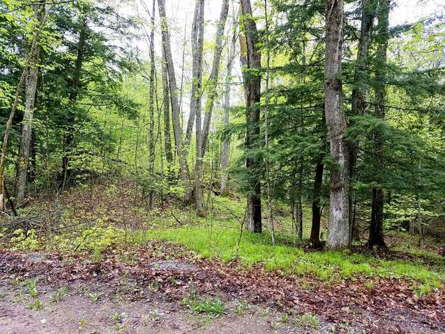 W11250 Loop Road Deerbrook, WI 54424 - Photo 16 of 23 Gallery Image 16