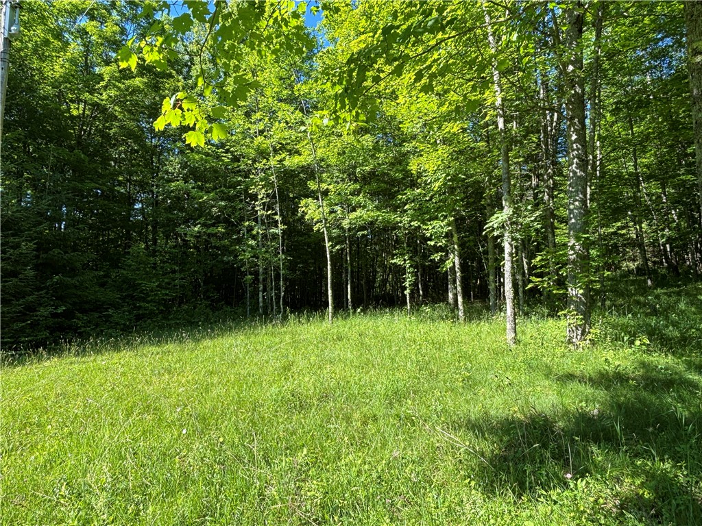 125 Maple Valley Road Worcester, NY 12197 - Photo 33 of 35