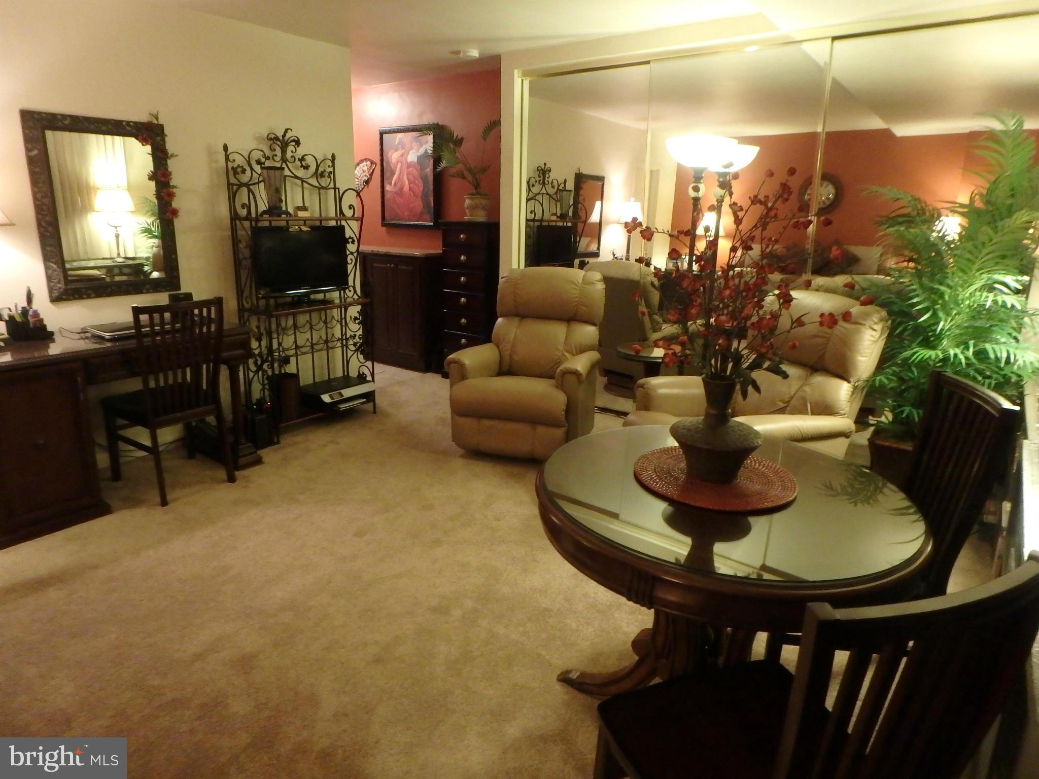 1011 Arlington Boulevard, Unit 627 Arlington, VA 22209 - Photo 11 of 28 BUILT-IN 12 FT MIRROR WALL STORAGE AREA