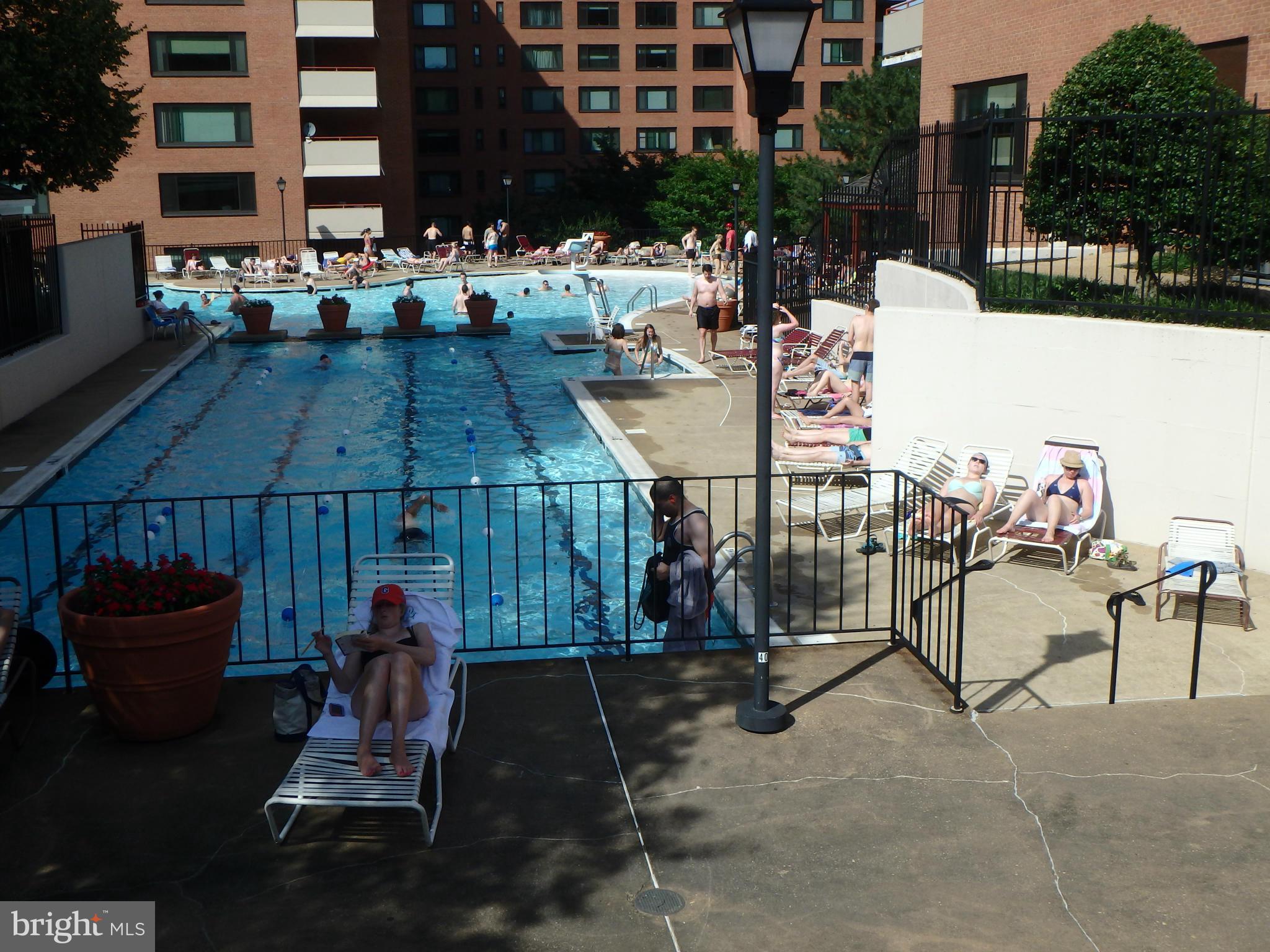 1011 Arlington Boulevard, Unit 627 Arlington, VA 22209 - Photo 18 of 28 POOL WITH 4 WORKOUT LANES / LAP LANES
