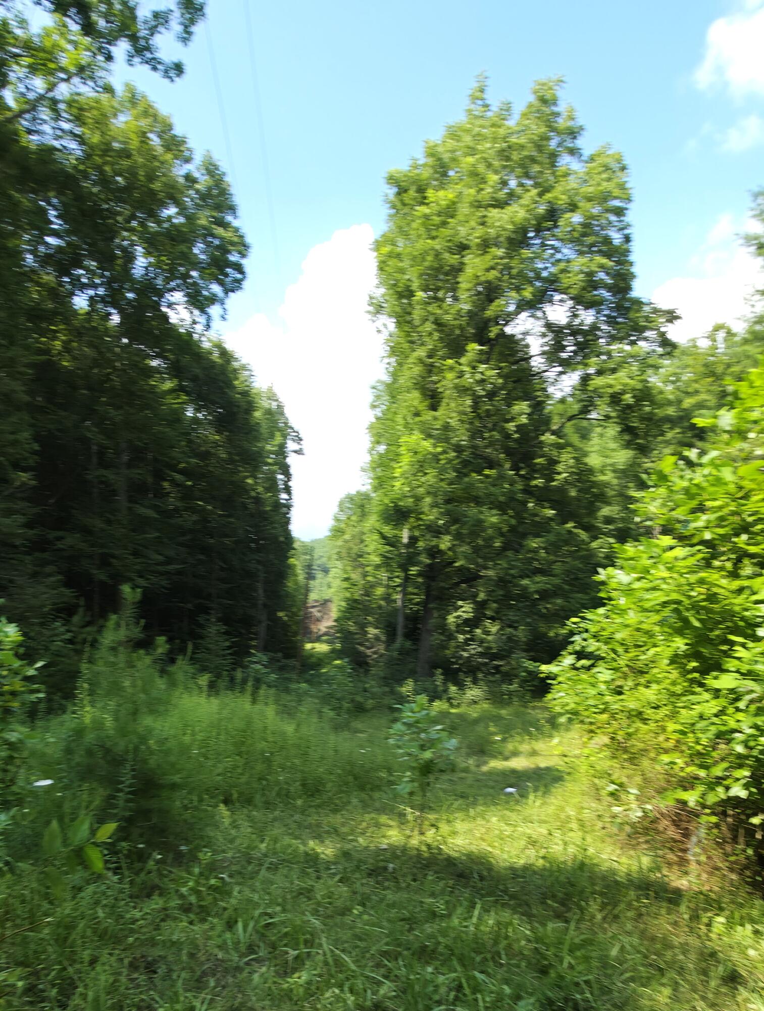 1871 Wayside Talcott Road Wayside, WV 24985 - Photo 79 of 85 Gallery Image 79