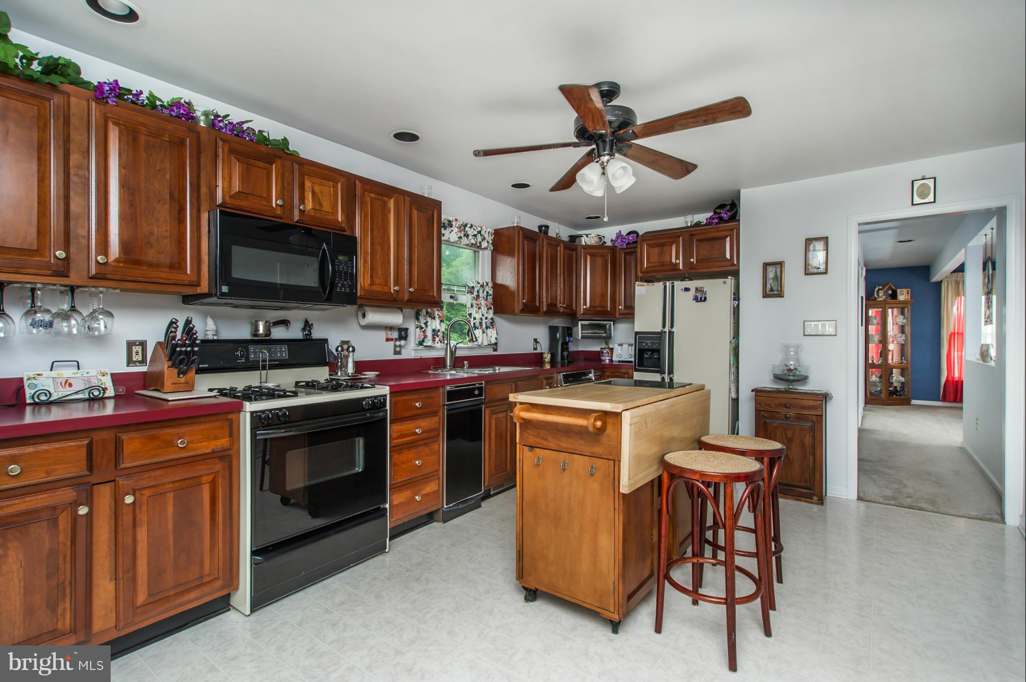 UPGRADED KITCHEN CABINETS