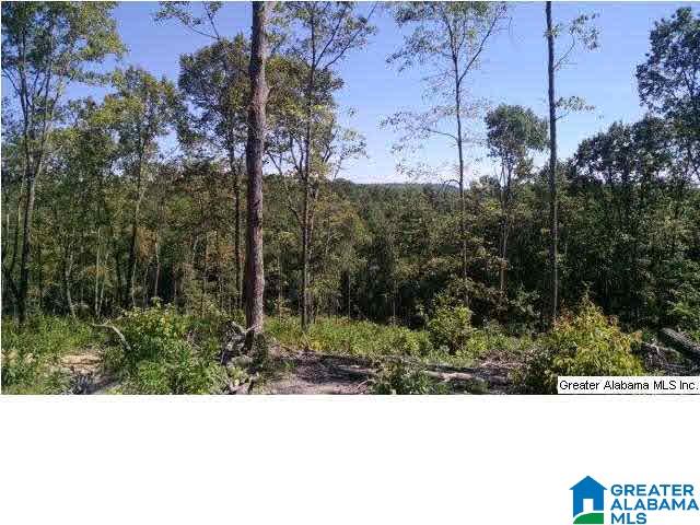 0 Beaver Ridge Drive, Unit 42 48 Ashville, AL 35953 - Photo 22 of 26