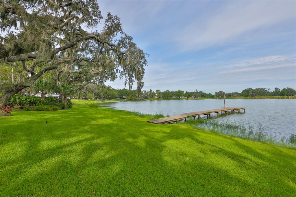 14028 Blackjack Road Dover, FL 33527 - Photo 39 of 62