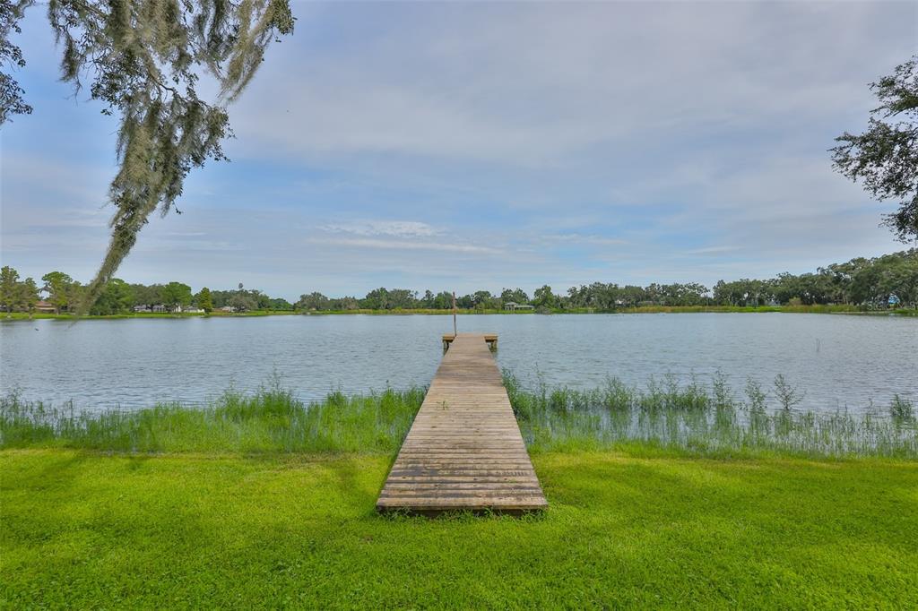 14028 Blackjack Road Dover, FL 33527 - Photo 40 of 62