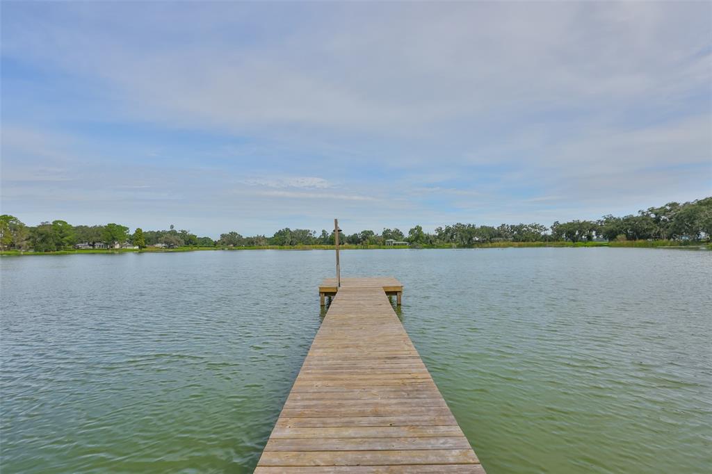 14028 Blackjack Road Dover, FL 33527 - Photo 41 of 62