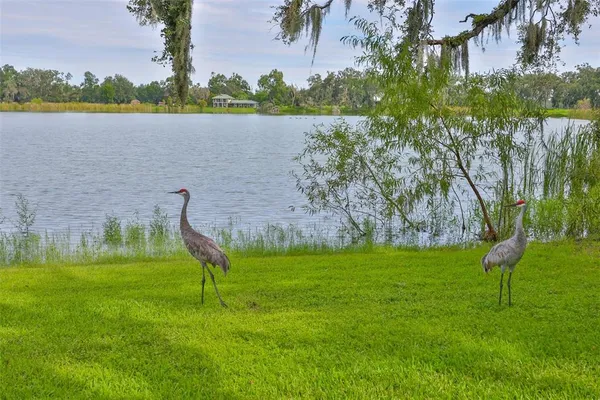 $565,000 | 14028 Blackjack Road, Dover, FL 33527