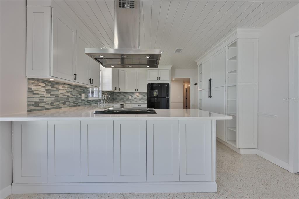 14028 Blackjack Road Dover, FL 33527 - Photo 6 of 62