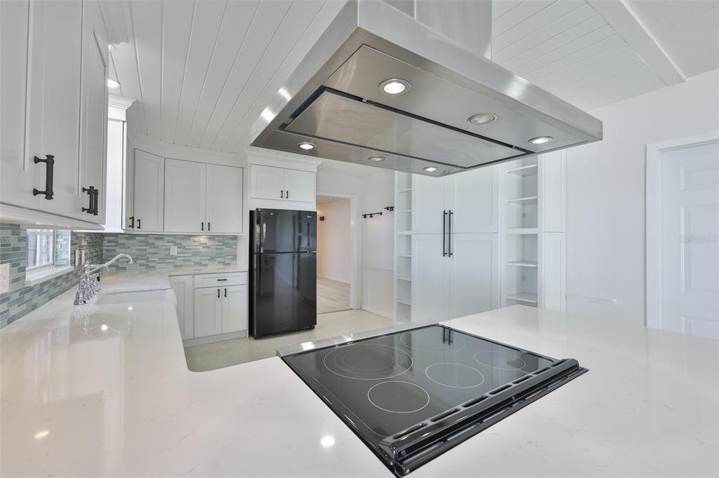 14028 Blackjack Road Dover, FL 33527 - Photo 7 of 62