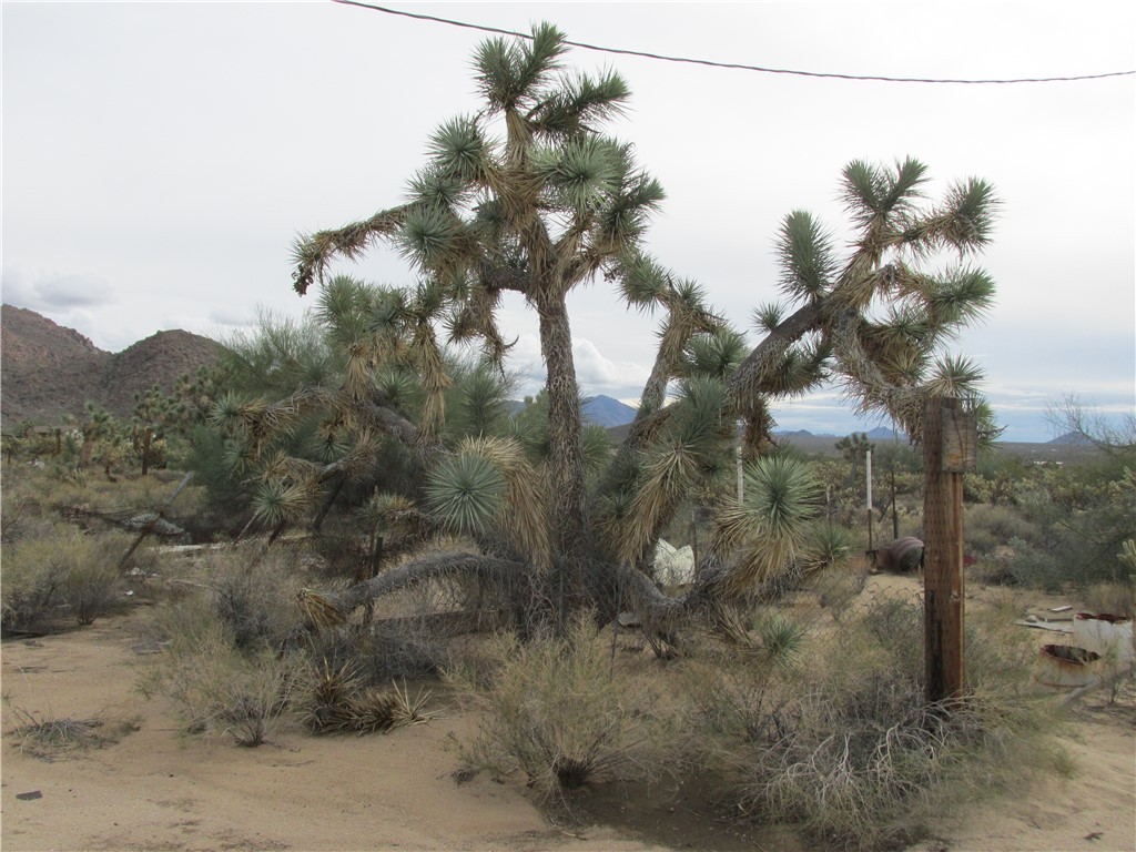 11690 Sherry Road Yucca, AZ 86438 - Photo 1 of 11 Mountain view