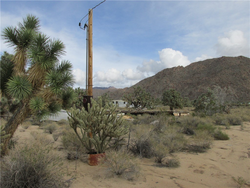 11690 Sherry Road Yucca, AZ 86438 - Photo 2 of 11 View of mountain background