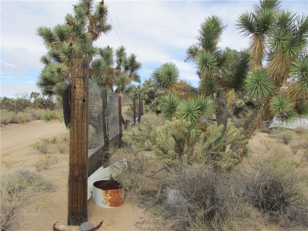 11690 Sherry Road Yucca, AZ 86438 - Photo 3 of 11 View of yard