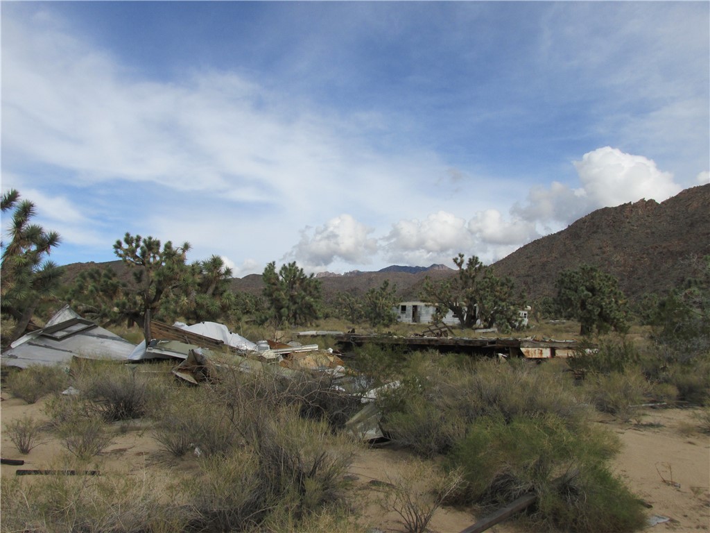 11690 Sherry Road Yucca, AZ 86438 - Photo 4 of 11 View of mountain background