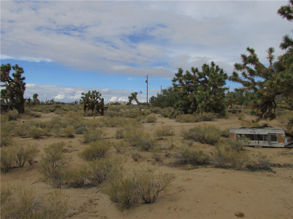 11690 Sherry Road Yucca, AZ 86438 - Photo 7 of 11 View of local wilderness