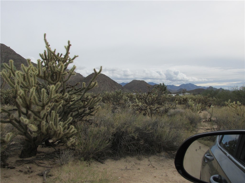 11690 Sherry Road Yucca, AZ 86438 - Photo 9 of 11 View of mountain backdrop